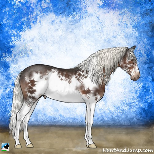 Horse Color:Liver Chestnut Mushroom Splash Frame Rabicano 