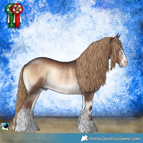 Horse Color:Liver Red Onyx Rabicano 