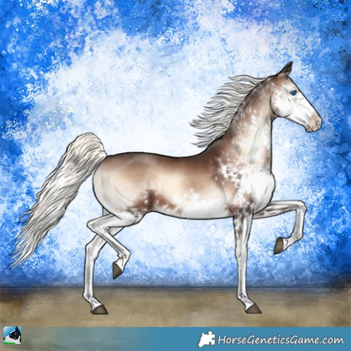 Horse Color:Liver Red Onyx Mushroom Splash