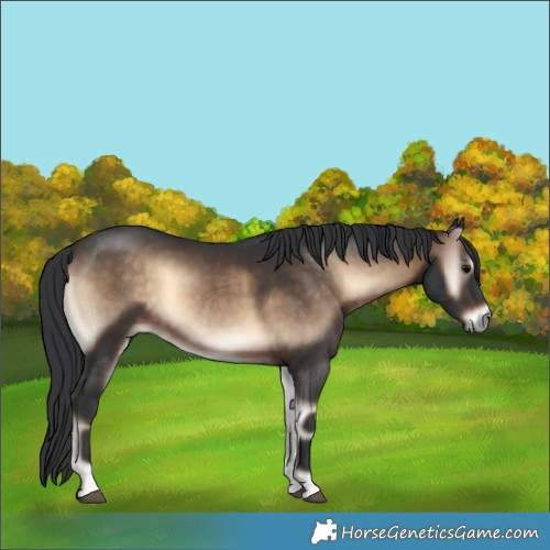 Horse Color:Brown Onyx 
