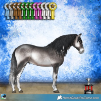 Horse Color:Platinum Brown Onyx Rabicano 
