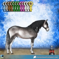 Horse Color:Platinum Brown Onyx Rabicano 