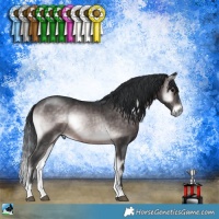 Horse Color:Platinum Brown Onyx Rabicano 