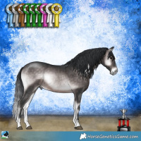 Horse Color:Platinum Brown Onyx Rabicano 