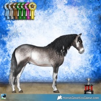 Horse Color:Platinum Brown Onyx Rabicano