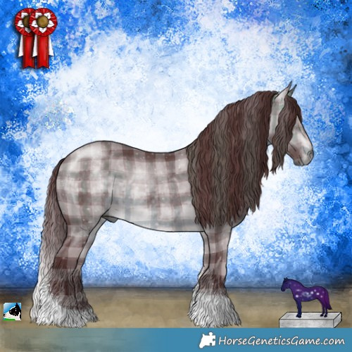 Horse Color:Plaid  Chocolate Brown Chinchilla Tobiano 