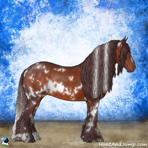 Horse Color:White Spotted Chocolate Brown Rabicano 