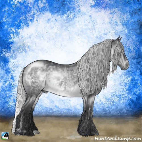 Horse Color:Silver Brown Chinchilla 