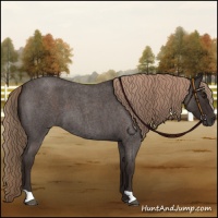 Horse Color:Liver Red Roan 