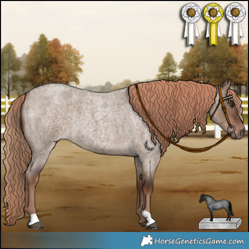 Horse Color:Liver Red Dun Roan 