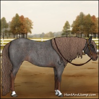 Horse Color:Liver Red Roan