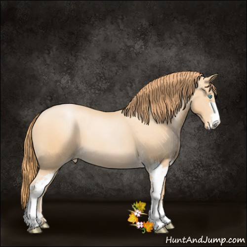 Horse Color:Buckskin Pearl Sabino 