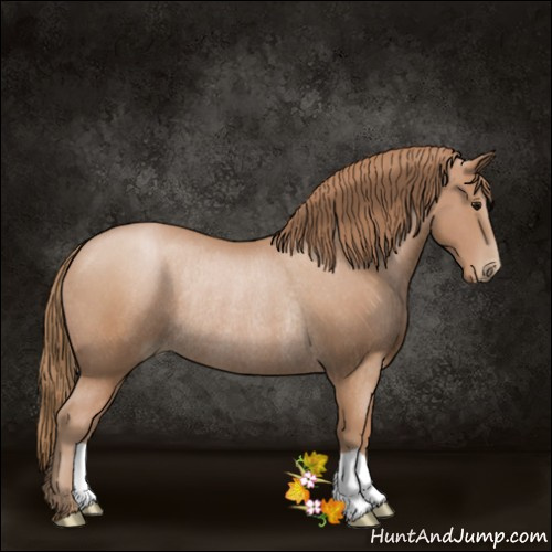 Horse Color:Black Pearl Rabicano 