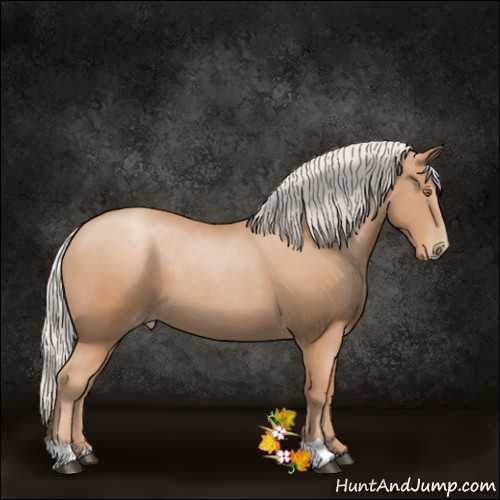 Horse Color:Silver Black Pearl 