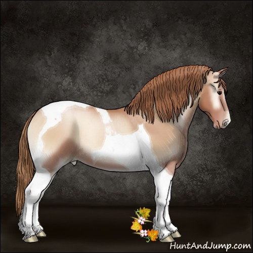 Horse Color:Blue Onyx Pearl Tobiano 
