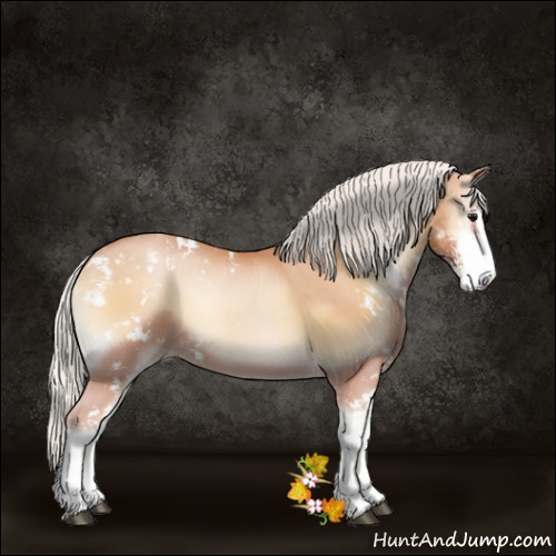 Horse Color:Silver Blue Onyx Pearl Sabino 