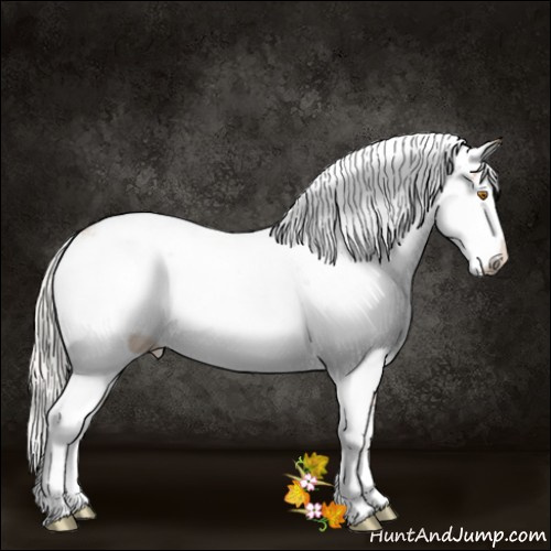 Horse Color:Silver Black Pearl Sabino 