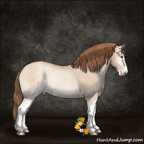 Horse Color:Grullo Pearl Onyx Sabino Rabicano 