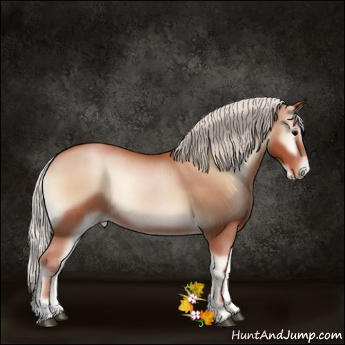 Horse Color:Silver Blue Onyx Pearl Rabicano 