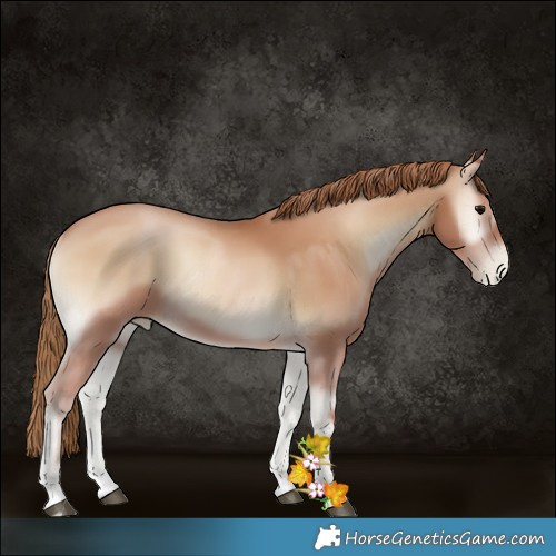 Horse Color:Blue Onyx Pearl Sabino 