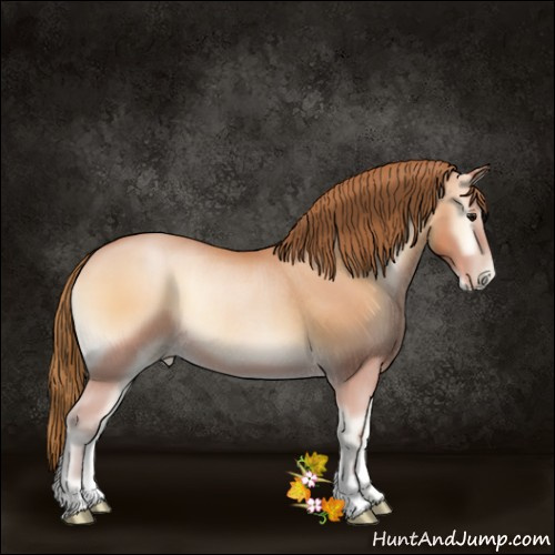 Horse Color:Bay Pearl Onyx Rabicano 