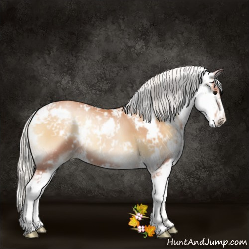 Horse Color:Silver Blue Onyx Pearl Sabino 