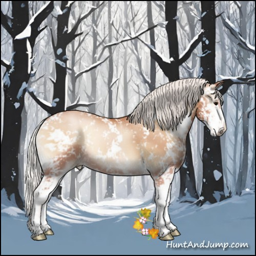 Horse Color:Silver Blue Onyx Pearl Sabino 