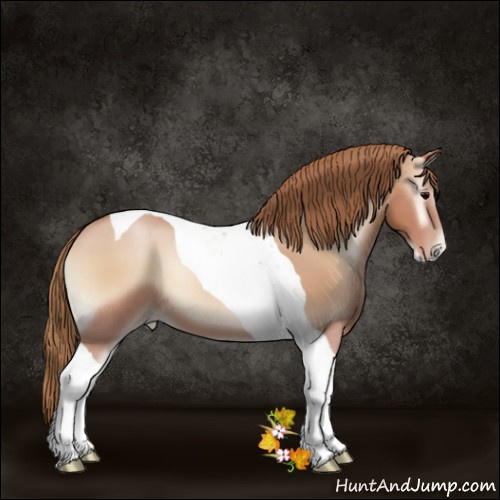 Horse Color:Blue Onyx Pearl Sabino Tobiano 