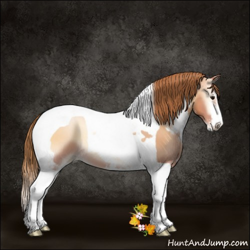 Horse Color:Bay Pearl Onyx Sabino Tobiano 