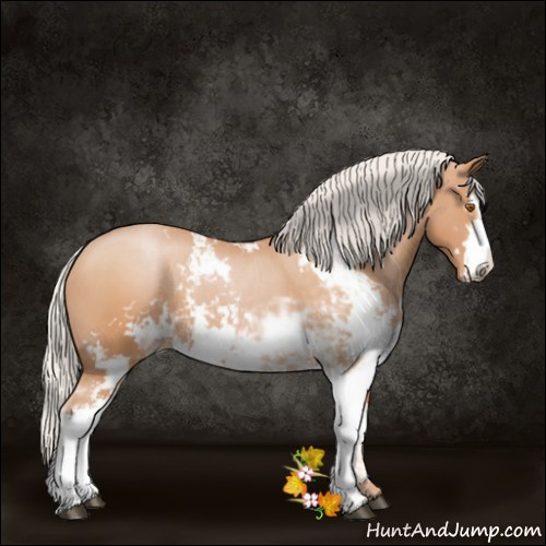 Horse Color:Silver Black Pearl Sabino Rabicano 