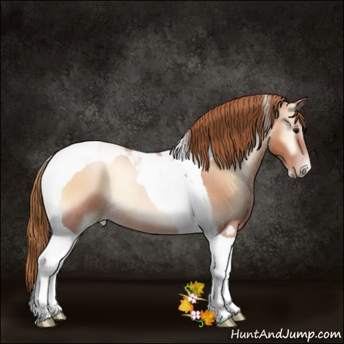 Horse Color:Brown Pearl Onyx Tobiano Rabicano 
