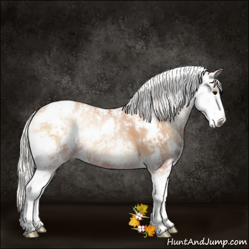 Horse Color:Silver Blue Onyx Pearl Sabino 