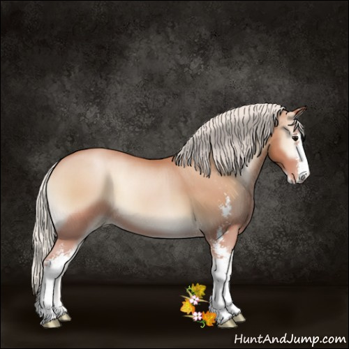 Horse Color:Silver Blue Onyx Pearl Sabino 