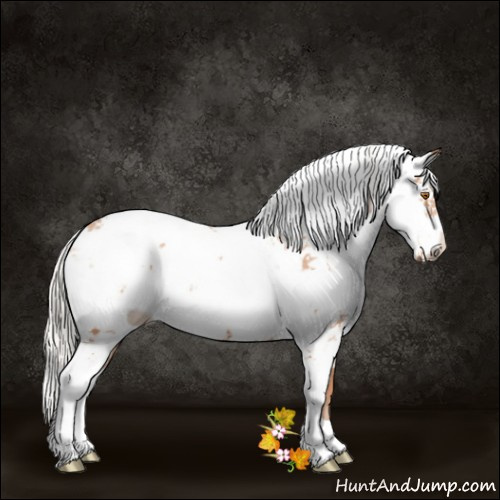 Horse Color:Silver Black Pearl Sabino 
