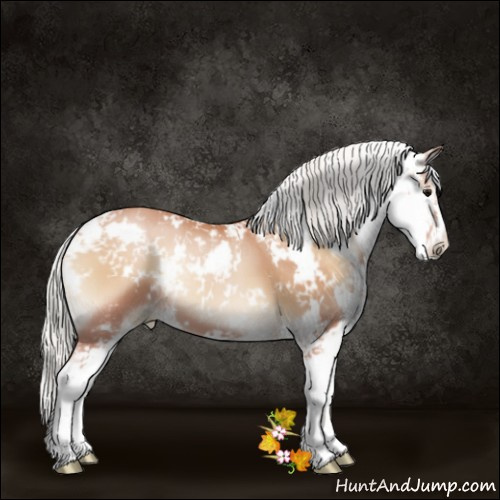 Horse Color:Silver Blue Onyx Pearl Sabino 