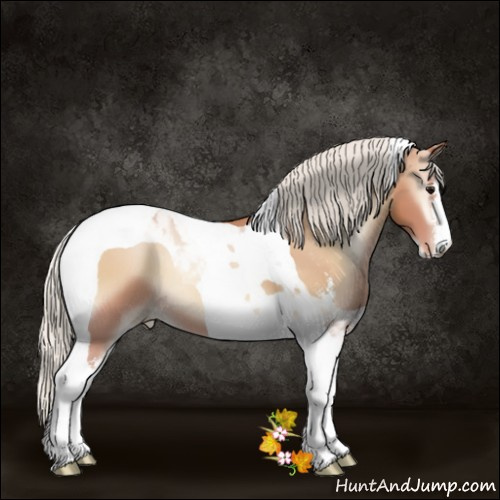 Horse Color:Silver Blue Onyx Pearl Sabino Tobiano 