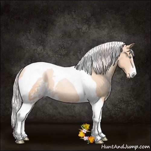 Horse Color:Silver Classic Champagne Pearl Sabino Tobiano 