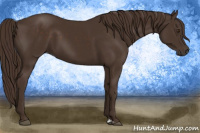 Horse Color:Liver Chestnut  and Liver Chestnut 