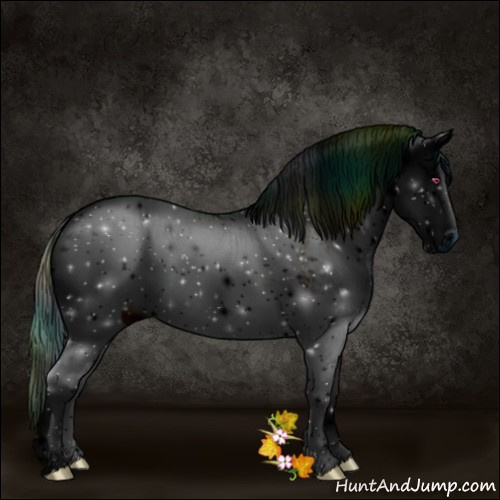 Horse Color:ERROR: UNKNOWN ANOMALY