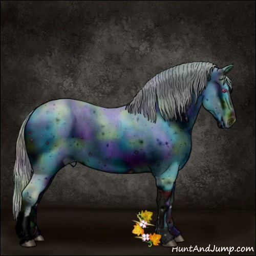 Horse Color:ERROR: UNKNOWN ANOMALY