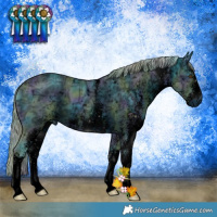 Horse Color:ERROR: UNKNOWN ANOMALY
