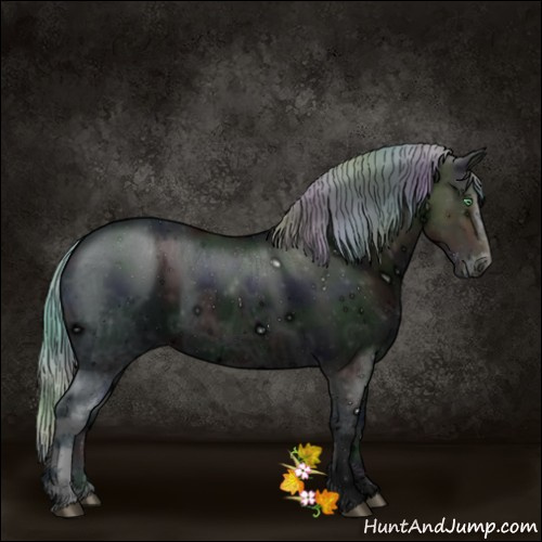 Horse Color:ERROR: UNKNOWN ANOMALY