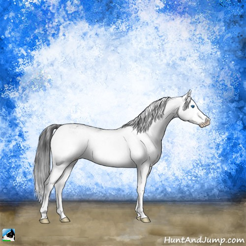 Horse Color:Black Mushroom Sabino Splash Rabicano 