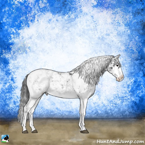 Horse Color:Black Ice Sabino Splash 