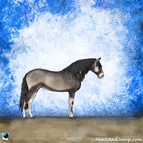 Horse Color:Blue Onyx Sabino Rabicano