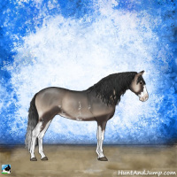 Horse Color:White Spotted Blue Onyx Splash Rabicano