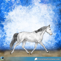 Horse Color:Black Sabino