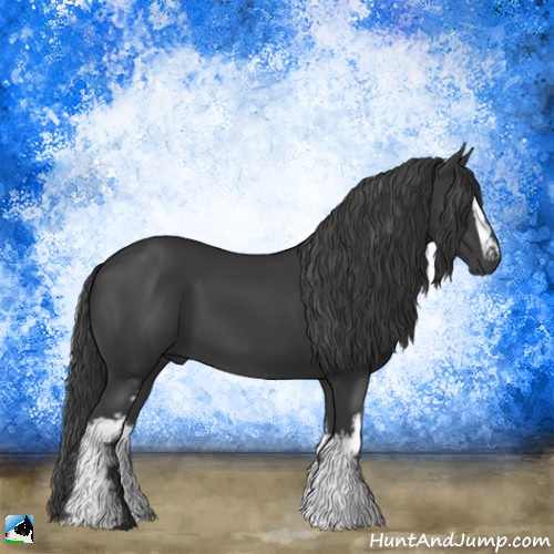 Horse Color:White Spotted Black 