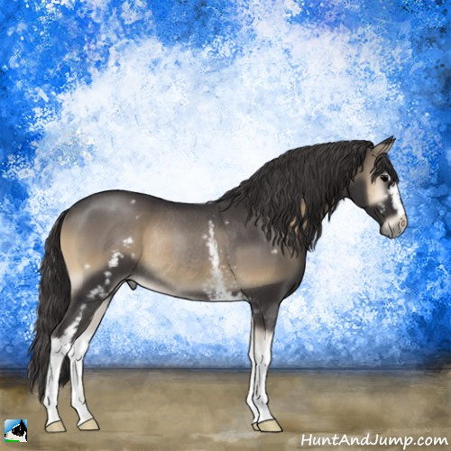 Horse Color:White Spotted Smoky Blue Onyx Rabicano 