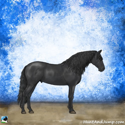 Horse Color:Black Mushroom Rabicano 